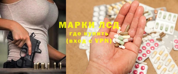 сатива Армянск
