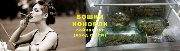 сатива Армянск