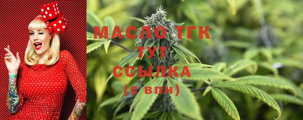 сатива Армянск