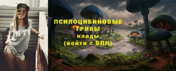 2c-b Аркадак