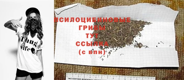 меф Арсеньев