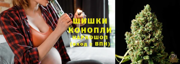 меф Арсеньев
